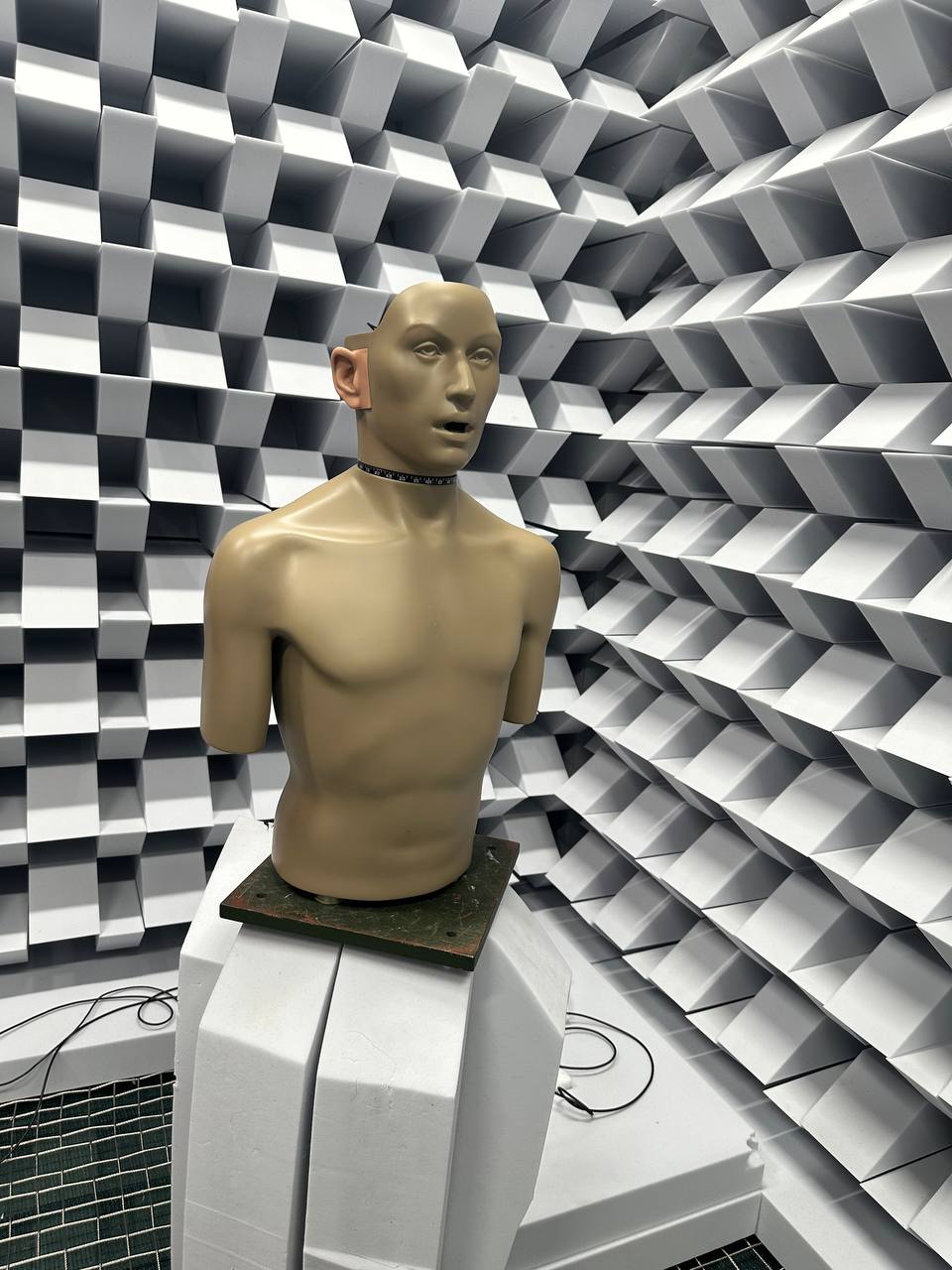 Personalised Hearing for Savox-Otos Architecture